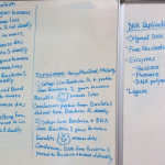 Griffith and Avery, MacCleod McCartey DNA experiments on whiteboard, March 14 2022 lecture