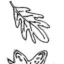Leaf, butterfly, bird, snail on part of paper airplane, 2020