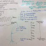 Energy and photosynthesis notes, February 15 2022 lecture