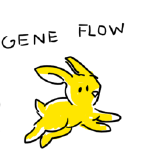 Gene flow; 2018