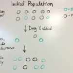 Drug resistance in population, February 18 2022 lecture