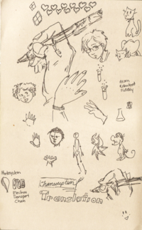 2016 - Hand Practice, Faces, Science Doodles and Animals