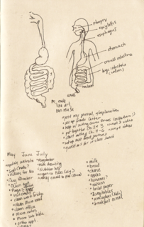 2017 - Digestive System